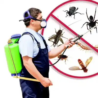pest control Ord